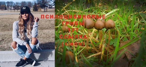 mix Баксан