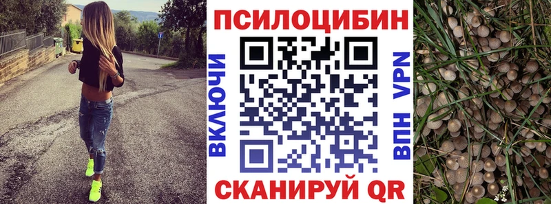 Галлюциногенные грибы мицелий  Балабаново 